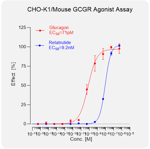 CHO-K1 Mouse GCGR Stable Cell