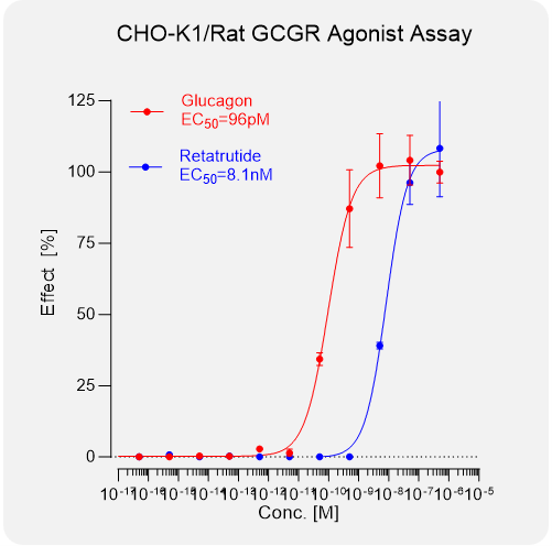 CHO-K1 Rat GCGR Stable Cell