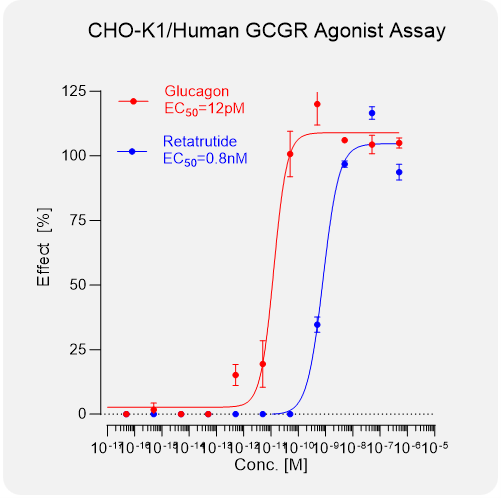 CHO-K1 Human GCGR Stable Cell