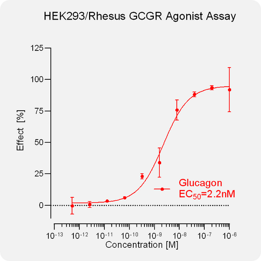 HEK293 Rhesus GCGR Stable Cell