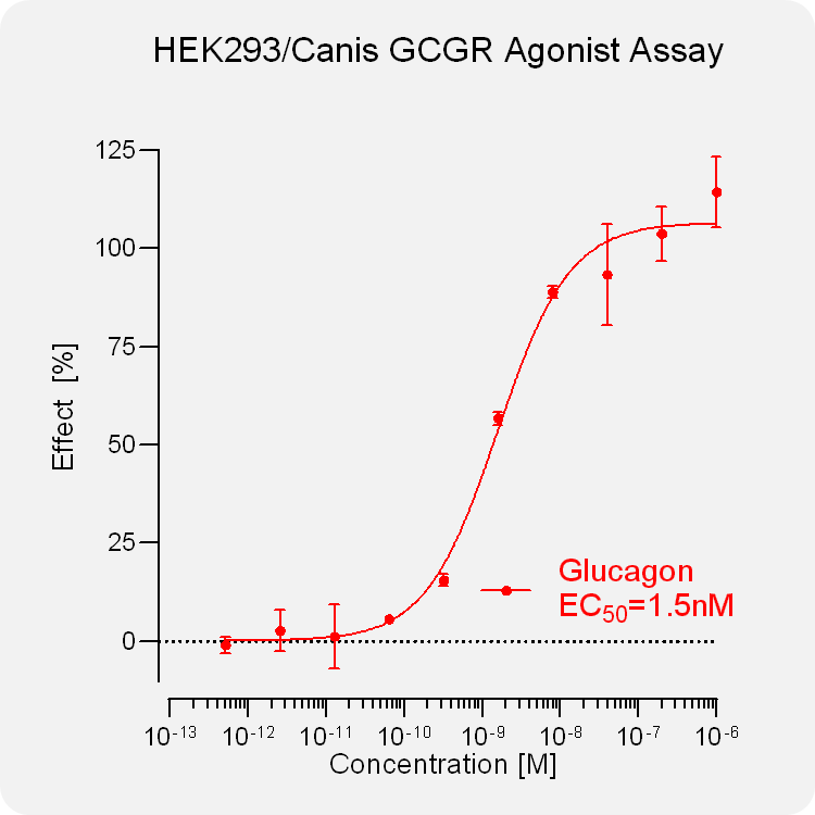 HEK293 Canis GCGR Stable Cell