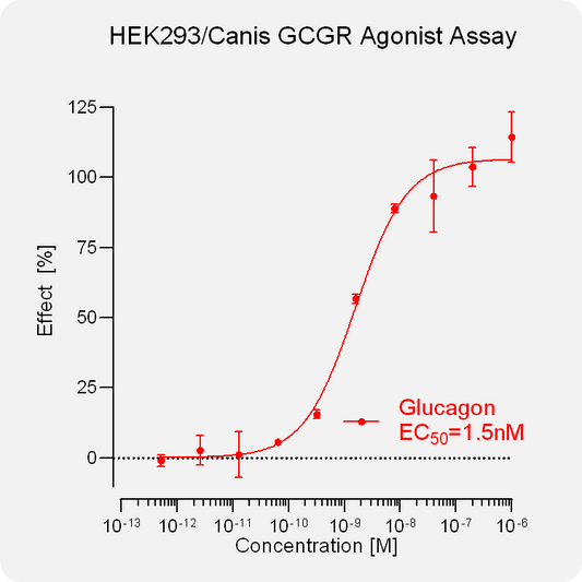 HEK293 Canis GCGR Stable Cell