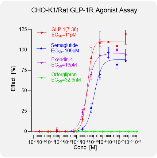 CHO-K1 Rat GLP-1R Stable Cell