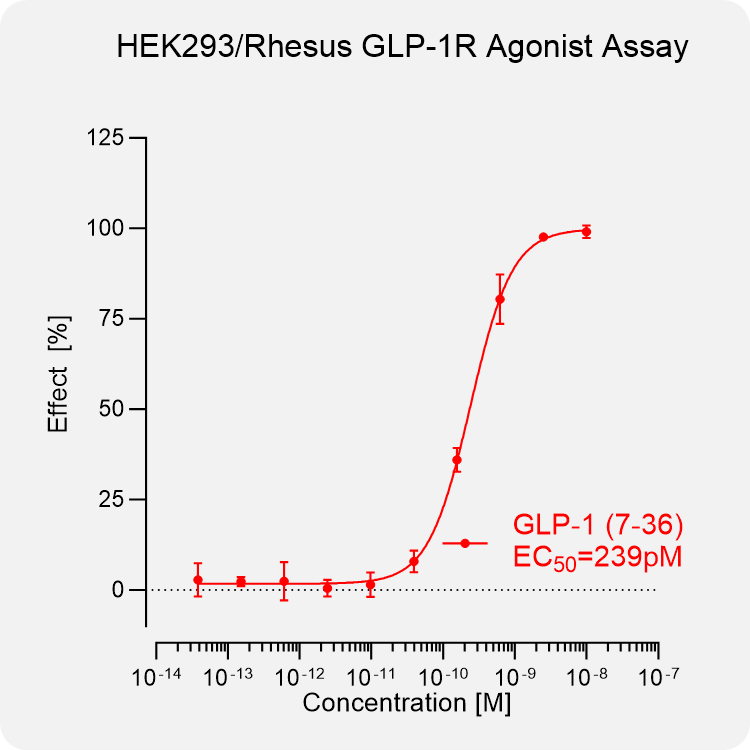HEK293 Rhesus GLP-1R Stable Cell