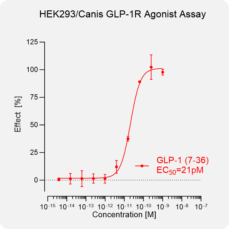 HEK293 Canis GLP-1R Stable Cell