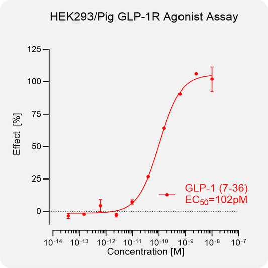 HEK293 Pig GLP-1 Stable Cell