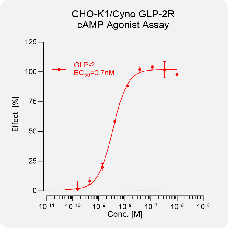 CHO-K1 Cyno GLP-2R Stable Cell