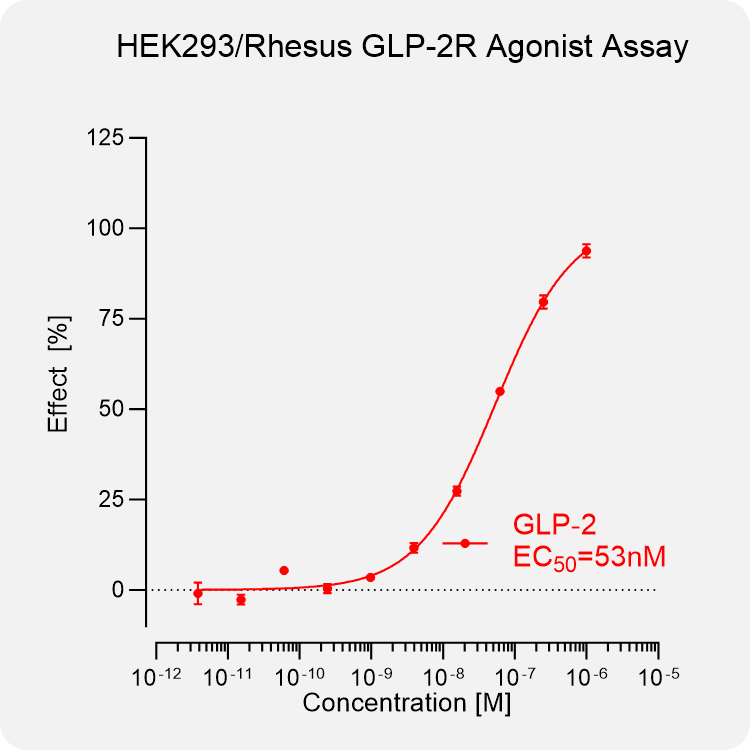 HEK293 Rhesus GLP-2R Stable Cell