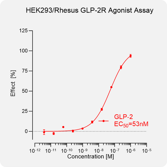 HEK293 Rhesus GLP-2R Stable Cell