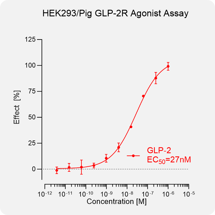 HEK293 Pig GLP-2R Stable Cell