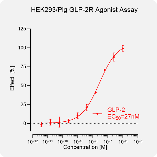 HEK293 Pig GLP-2R Stable Cell