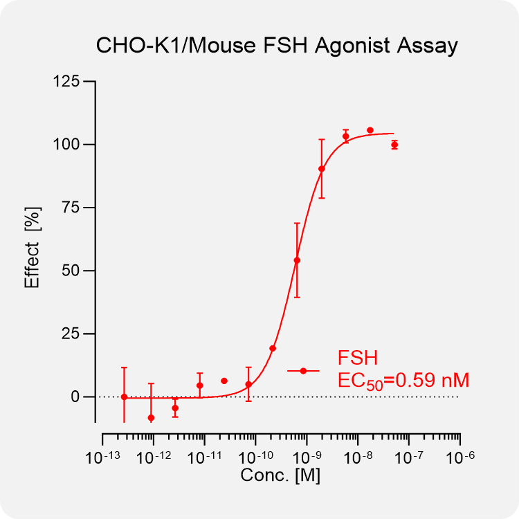 CHO-K1 Mouse FSH Stable Cell