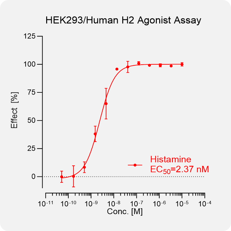 HEK293 Human H2 Stable Cell