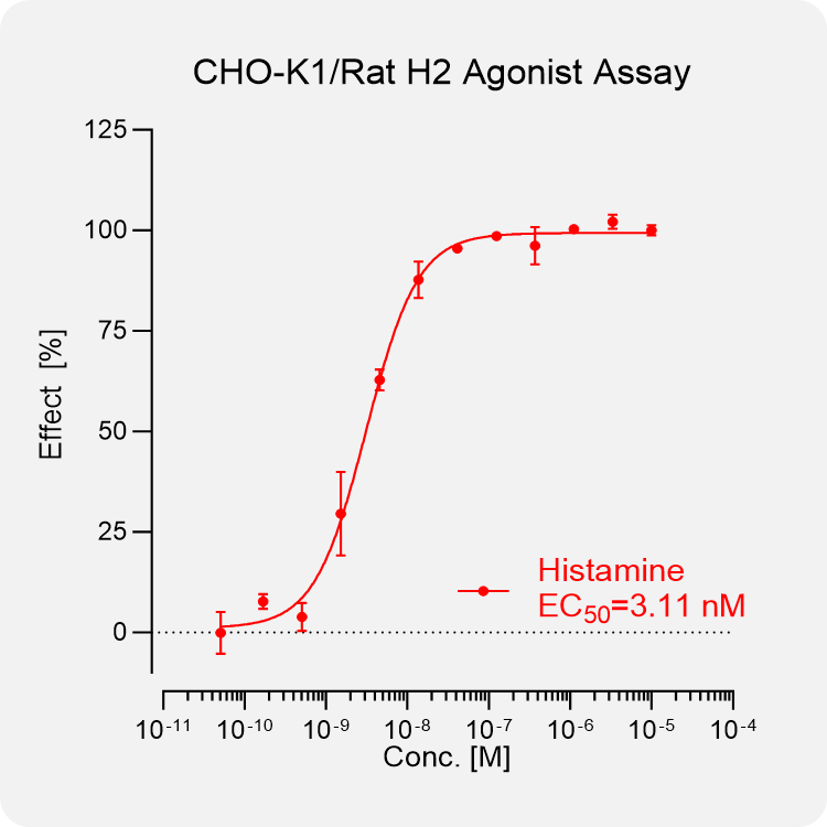 CHO-K1 Rat H2 Stable Cell