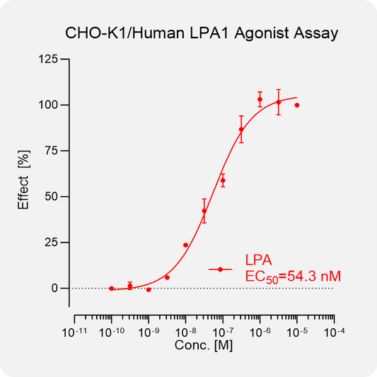 CHO-K1 Human LPA1 Stable Cell