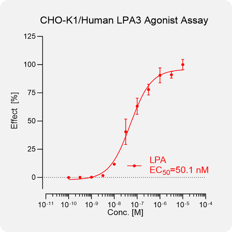 CHO-K1 Human LPA3 Stable Cell