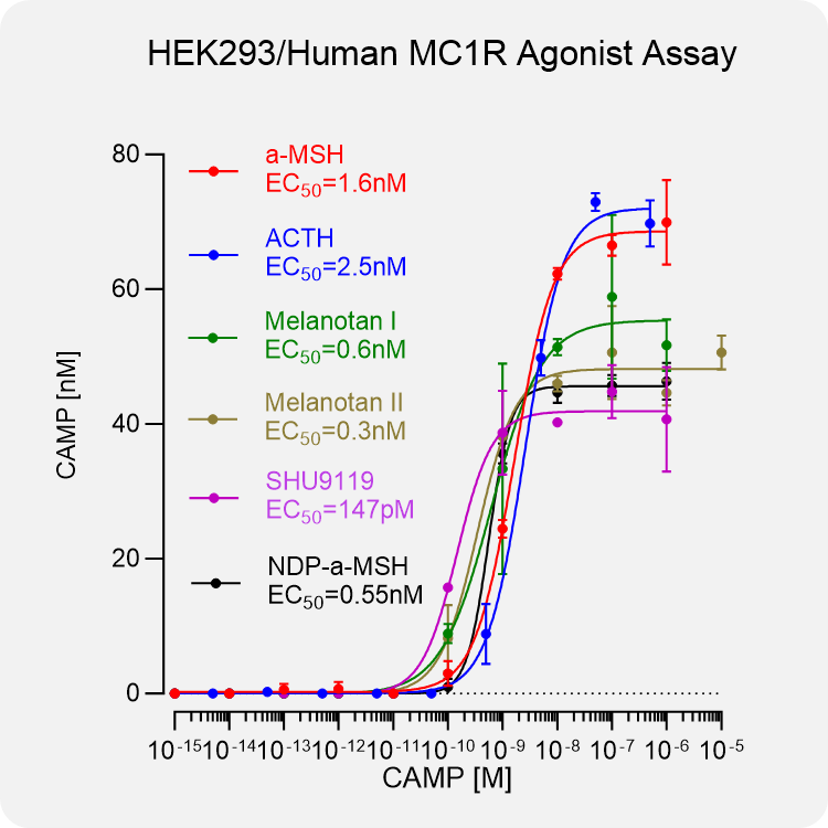 HEK293 Human MC1R Stable Cell