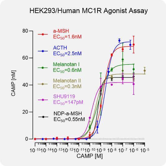 HEK293 Human MC1R Stable Cell