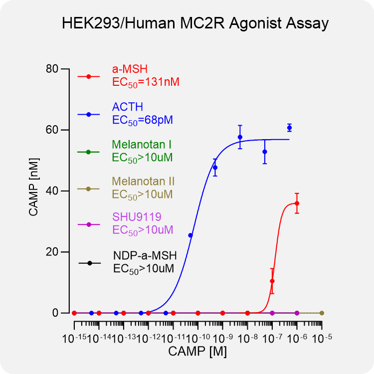 HEK293 Human MC2R Stable Cell