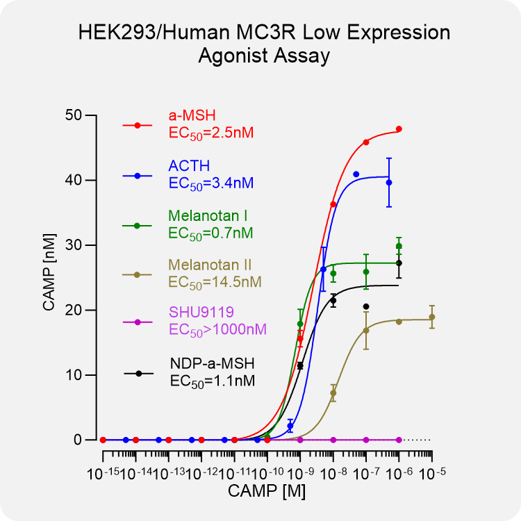 HEK293 Human MC3R Low Expression Stable Cell