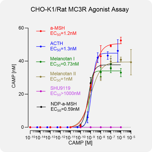 CHO-K1 Rat MC3R Stable Cell