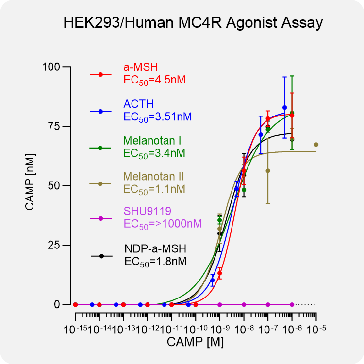 HEK293 Human MC4R Stable Cell