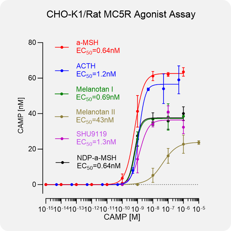 CHO-K1 Rat MC5R Stable Cell