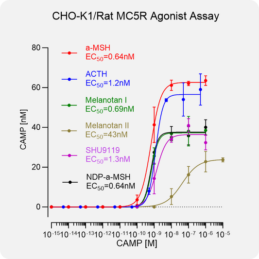CHO-K1 Rat MC5R Stable Cell