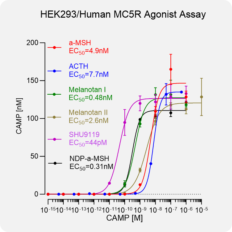 HEK293 Human MC5R Stable Cell