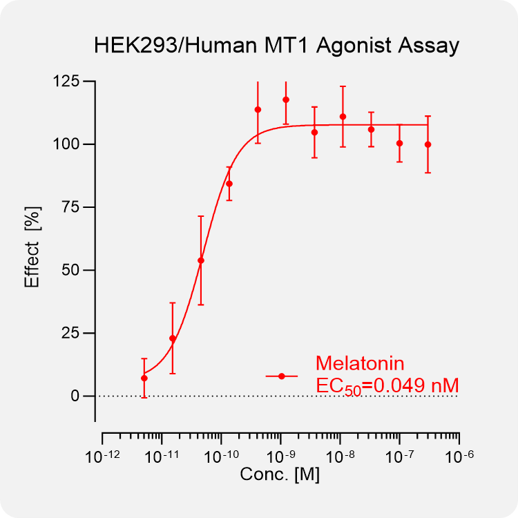 HEK293 Human MT1 Stable Cell