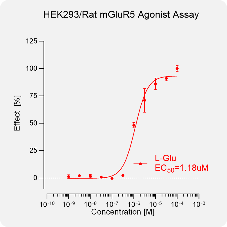 HEK293 Rat mGluR5 Stable Cell
