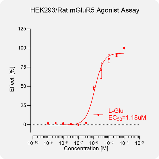 HEK293 Rat mGluR5 Stable Cell