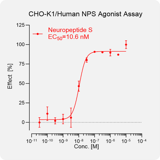 CHO-K1 Human NPS Stable Cell