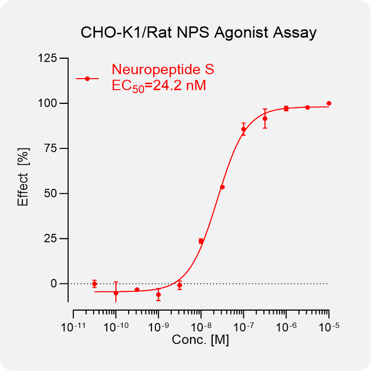 CHO-K1 Rat NPS Stable Cell