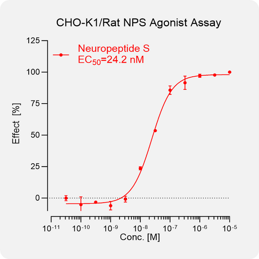 CHO-K1 Rat NPS Stable Cell
