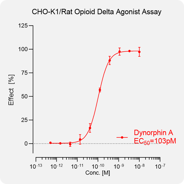 CHO-K1 Rat δ Stable Cell