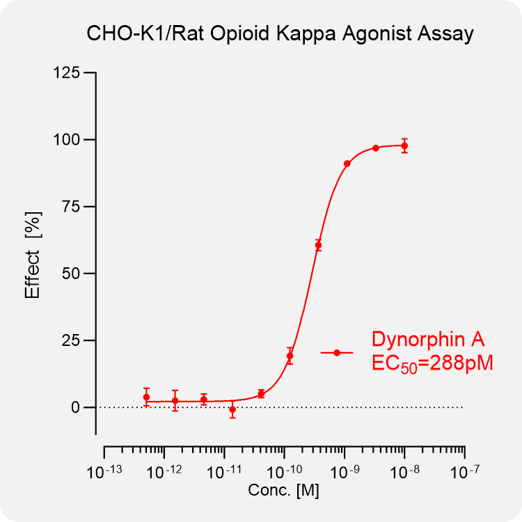 CHO-K1 Rat κ Stable Cell