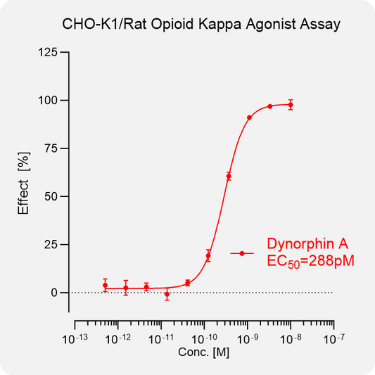 CHO-K1 Rat κ Stable Cell