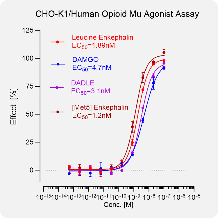CHO-K1 Human μ Stable Cell