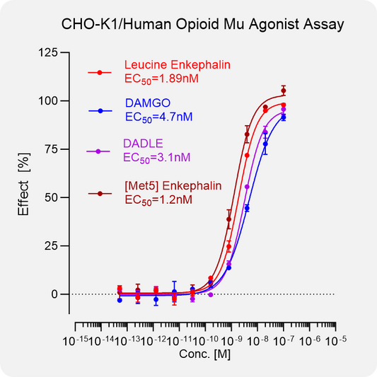 CHO-K1 Human μ Stable Cell