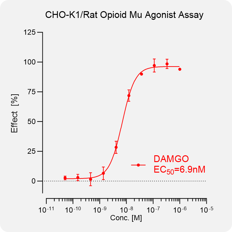 CHO-K1 Rat μ Stable Cell