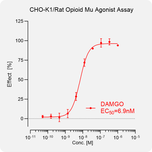 CHO-K1 Rat μ Stable Cell