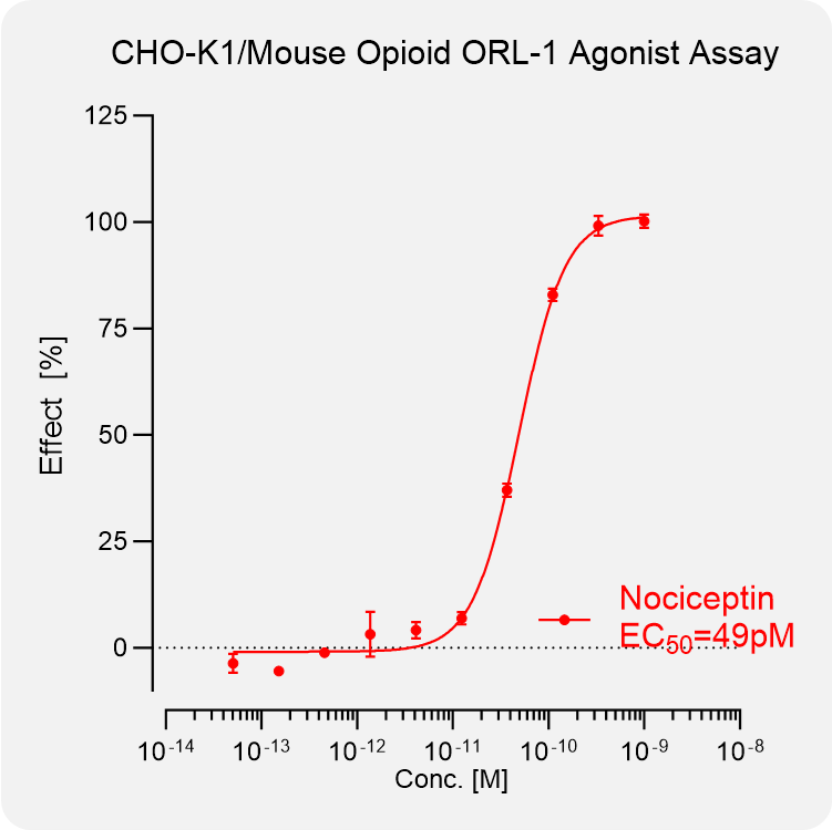CHO-K1 Mouse NOP Stable Cell