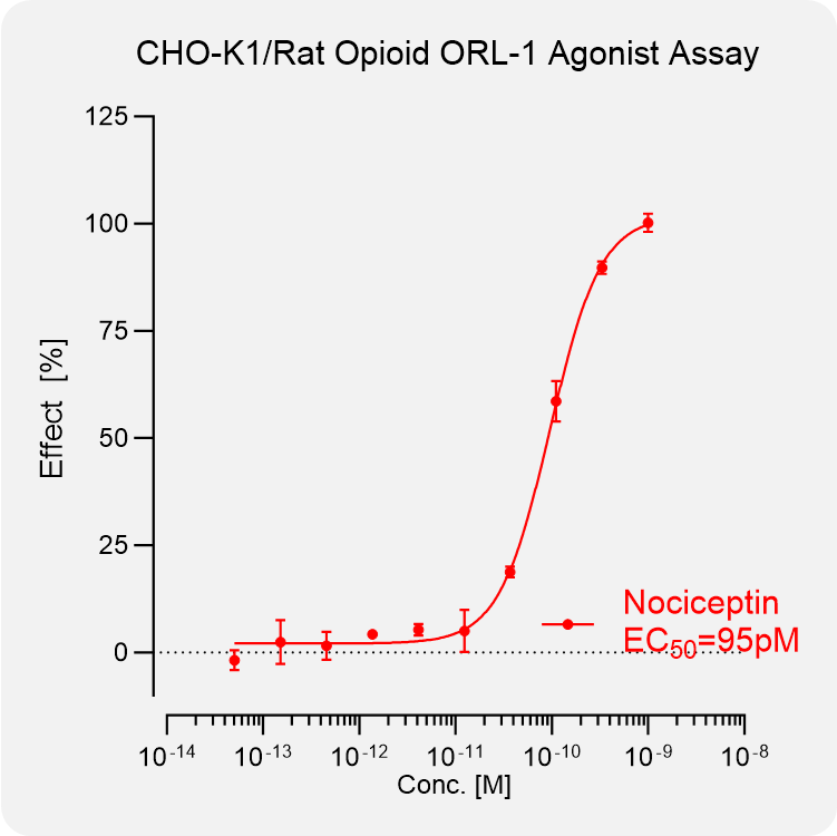 CHO-K1 Rat NOP Stable Cell