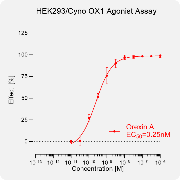 HEK293 Cyno OX1  Stable Cell
