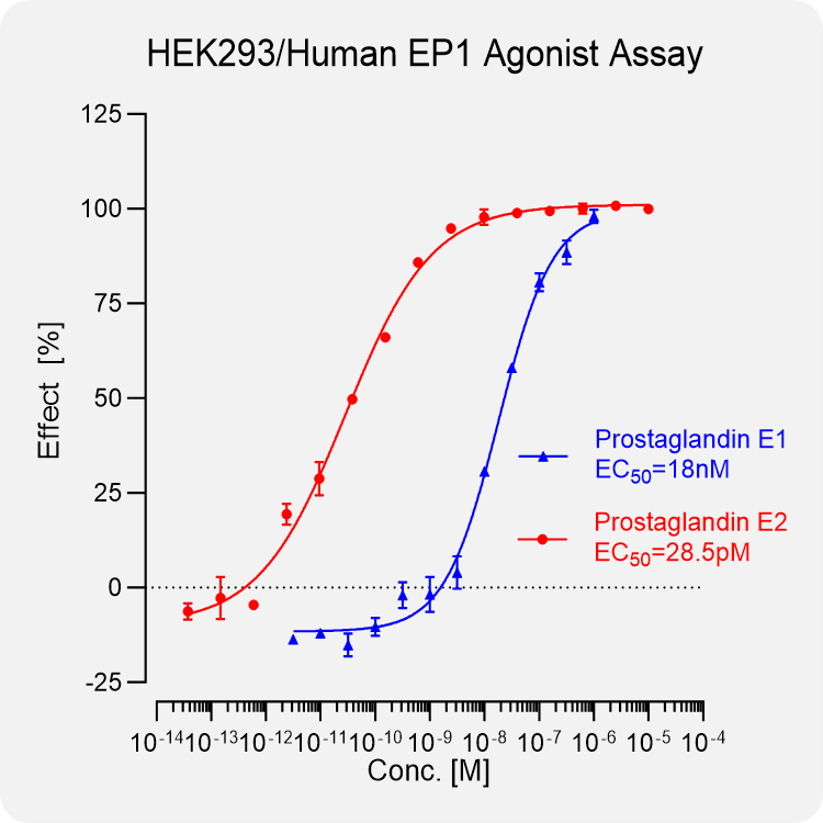 HEK293 Human EP1 Stable Cell