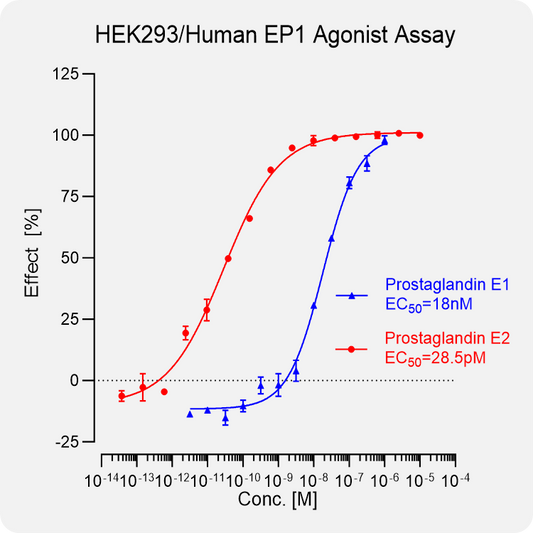 HEK293 Human EP1 Stable Cell