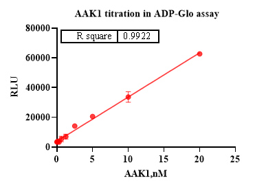 AAK1 His Tag Protein, Human