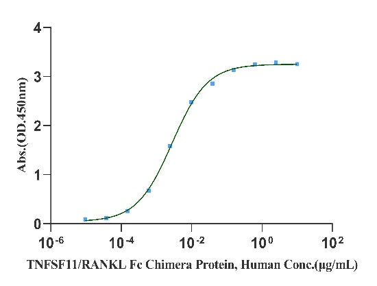 Osteoprotegerin/TNFRSF11B His Tag Protein, Human