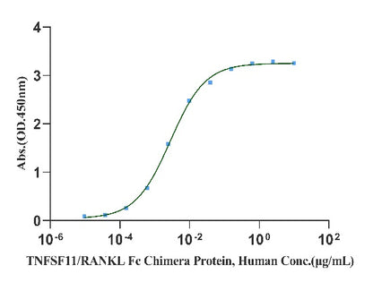 Osteoprotegerin/TNFRSF11B His Tag Protein, Human